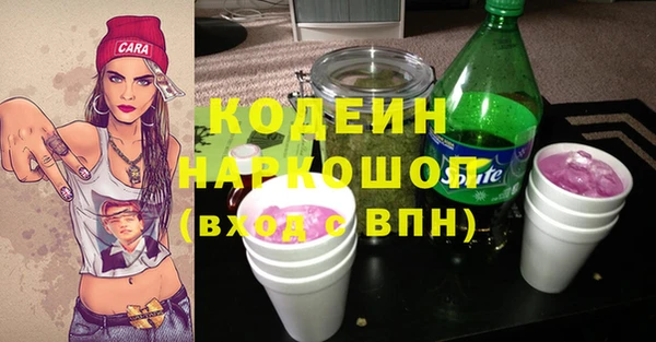 индика Пролетарск